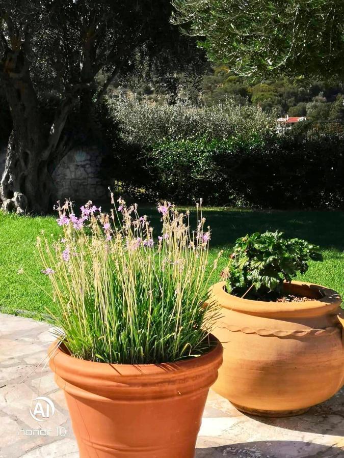 Hill Lofos Hotel Kassiopi Eksteriør billede